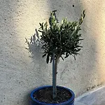 Les Demeures Du Clos