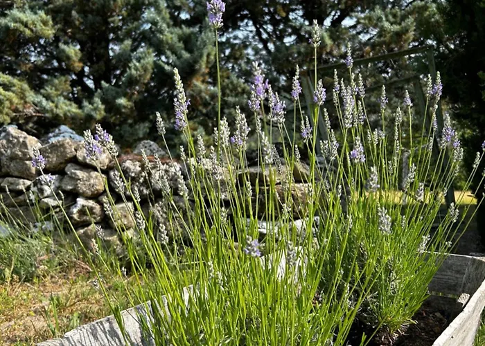 Ferienhaus Les Demeures Du Clos